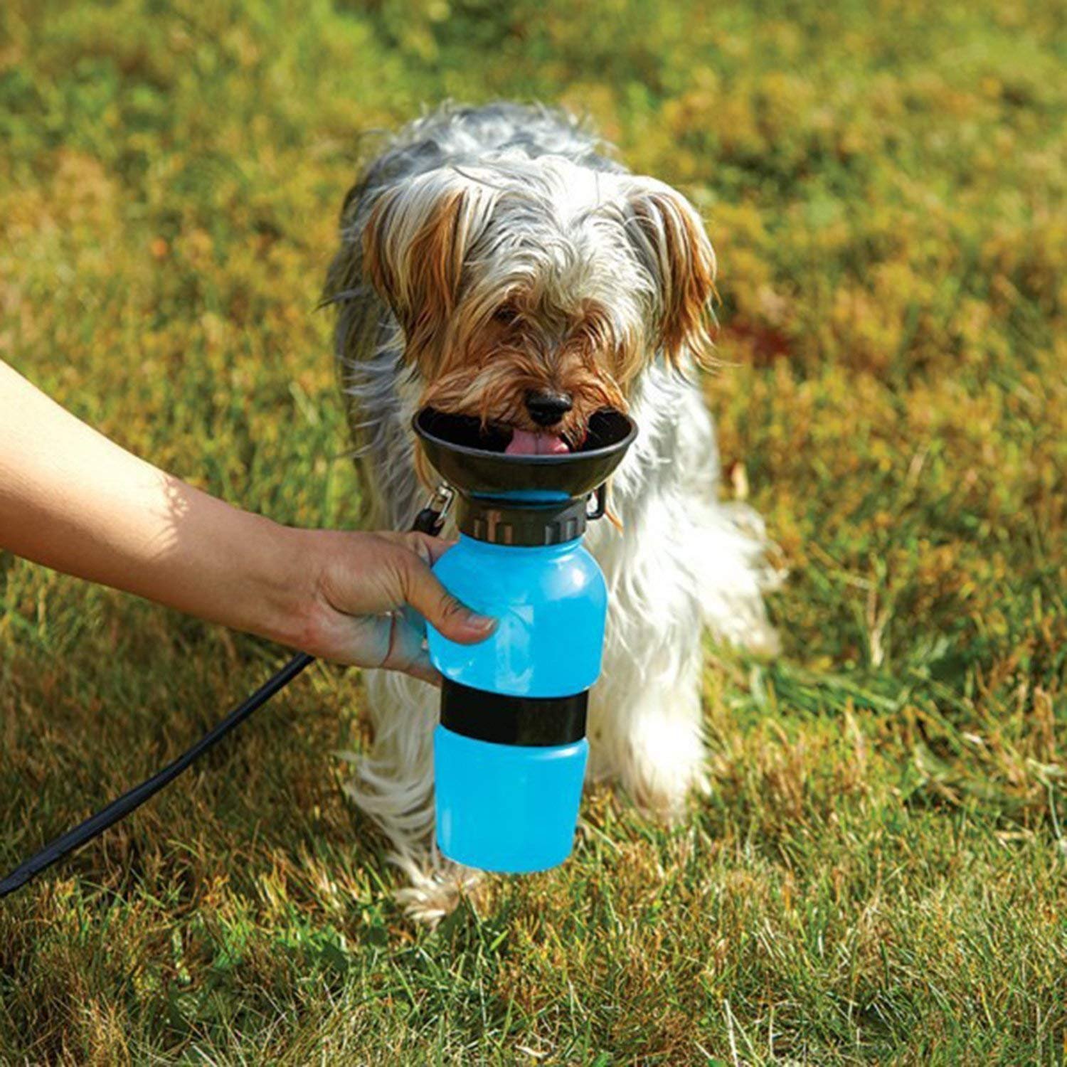 AQUA DOG WATER BOTTLE