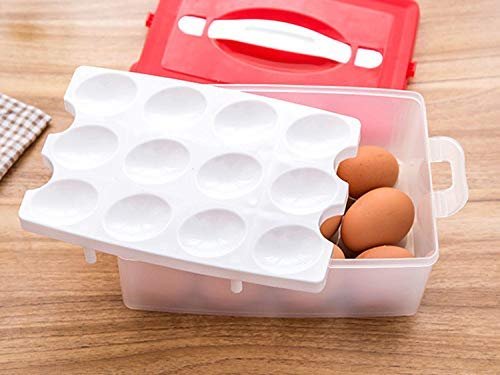 Egg Storage Box 24 Grid