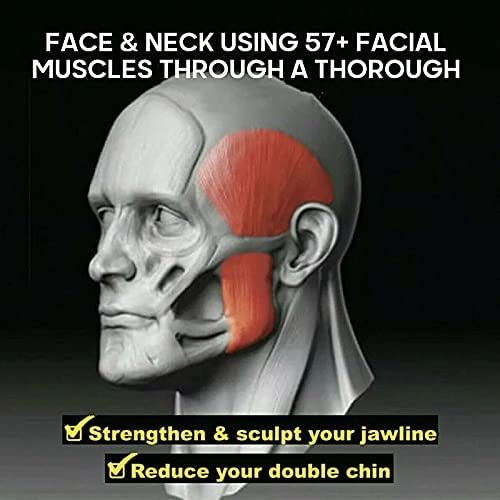 JAW EXERCISER 11