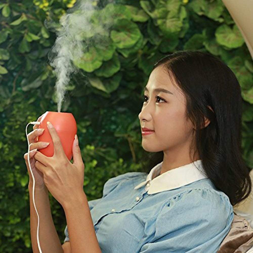 Lemon Humidifier 5