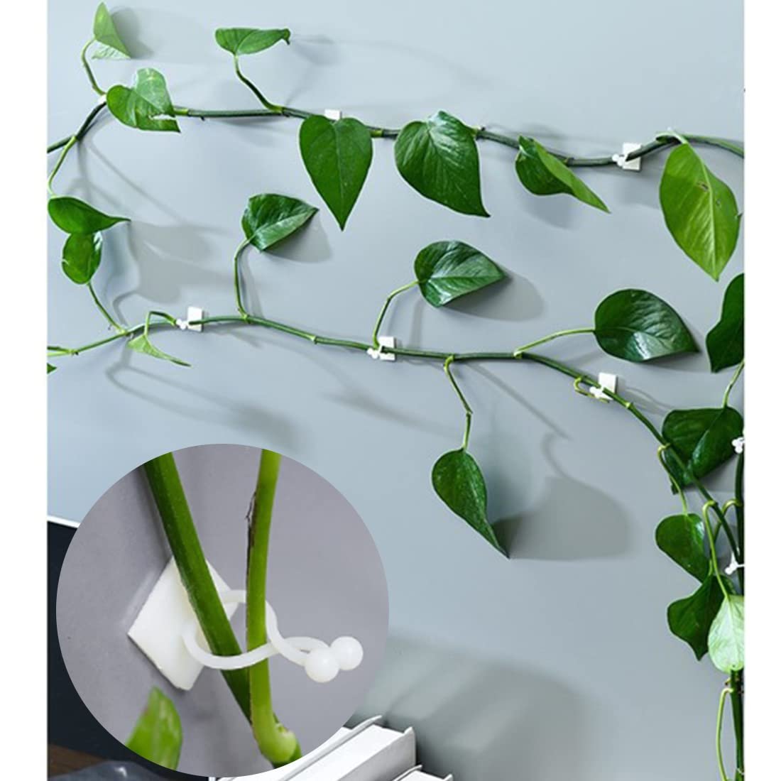 PLANT CLIP WALL HOOK (30 PIS) 9