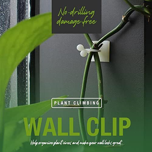 PLANT CLIP WALL HOOK (30 PIS) 11