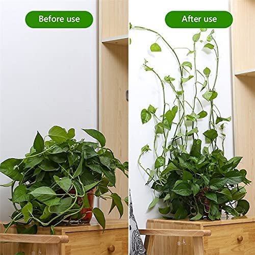 PLANT CLIP WALL HOOK (30 PIS) 13