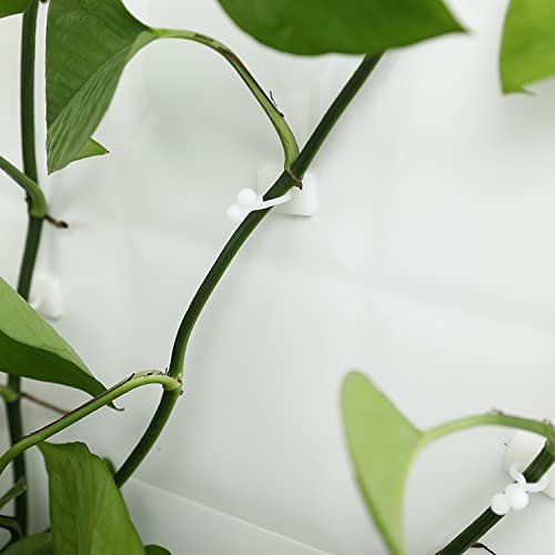 PLANT CLIP WALL HOOK (30 PIS) 15