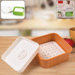 plastic Paneer Maker 2