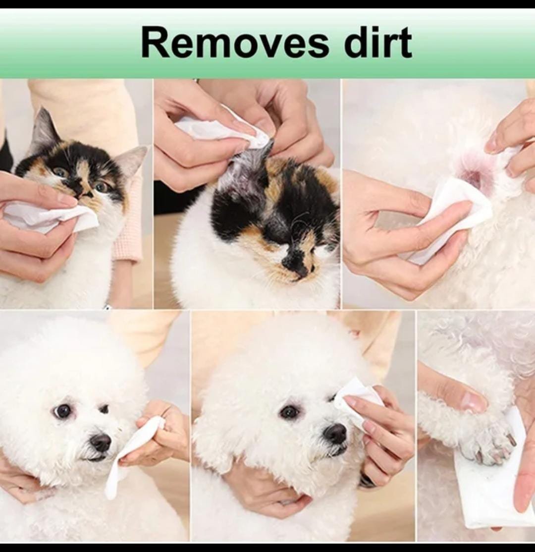Stain Remover Wipes 5