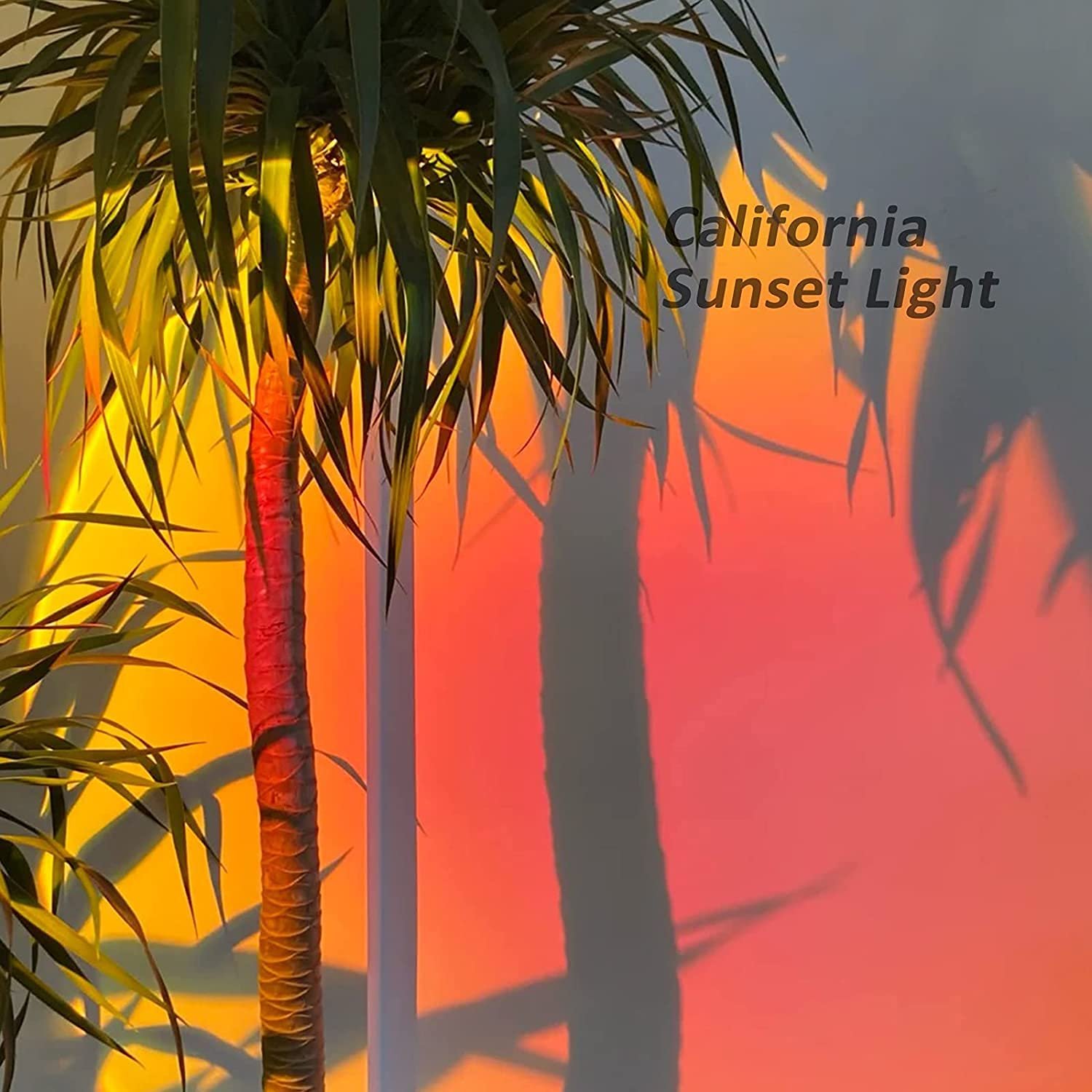Sunset  Light 2