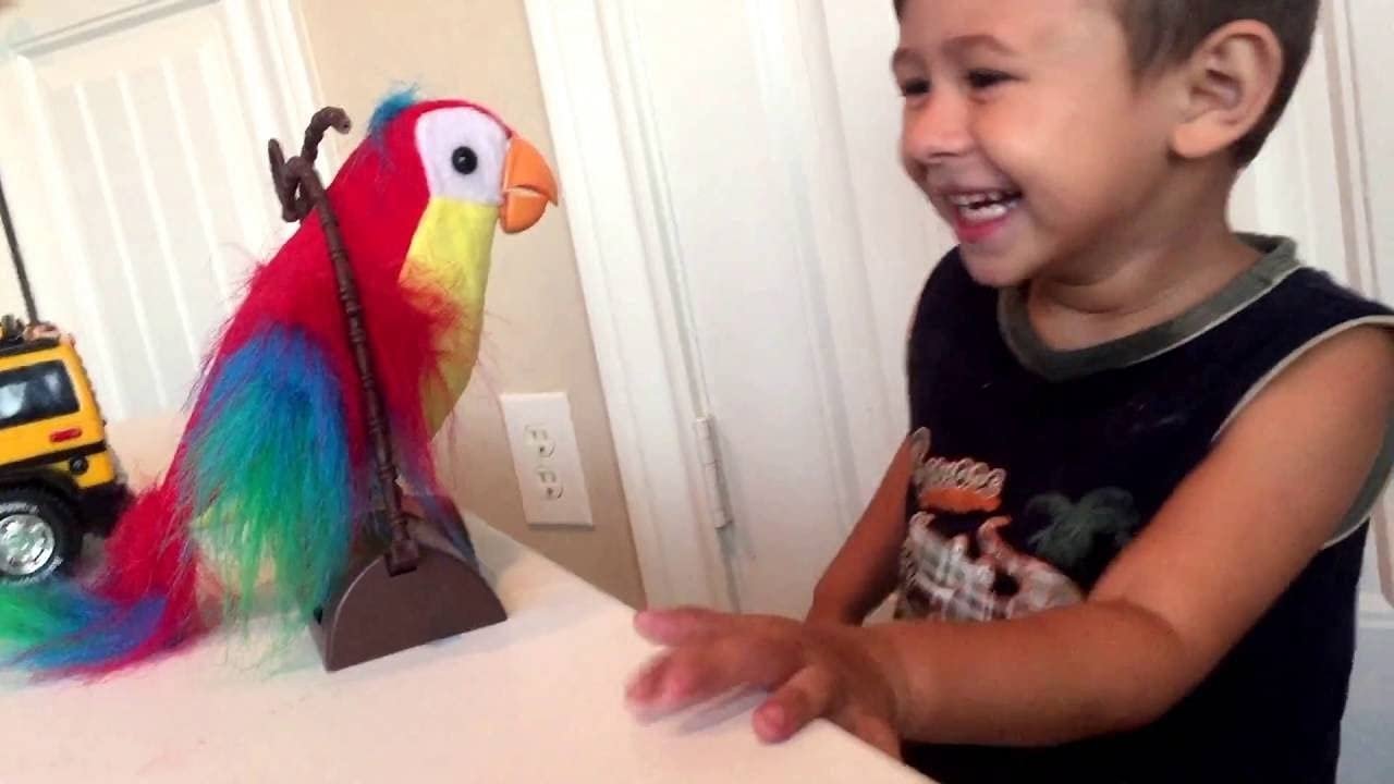TALK BACK PARROT 2