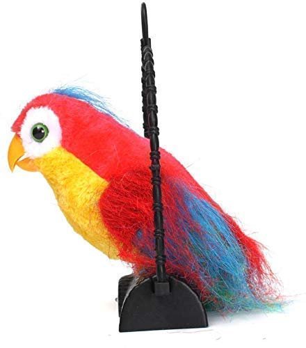 TALK BACK PARROT 4