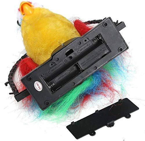 TALK BACK PARROT 5